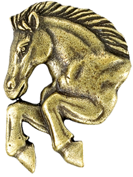 Custom Pins